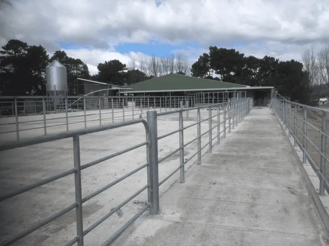 Galvanised steel pipe rails along a concrete race leading to a green-roofed farm dairy with a feed silo beside it